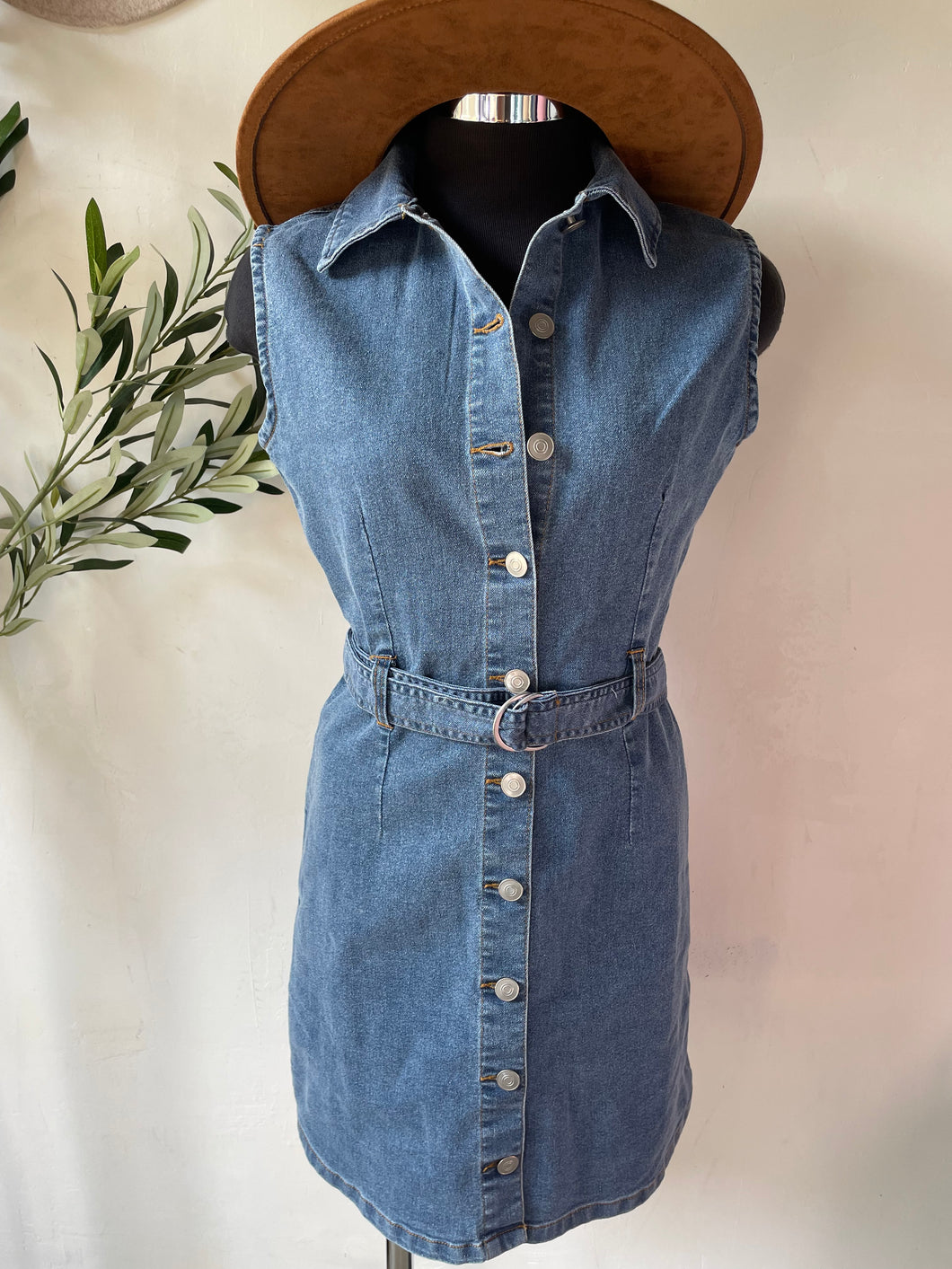 Valentina Denim Dress